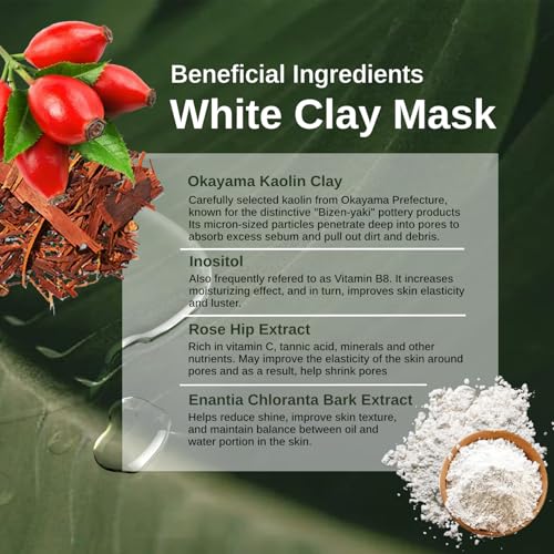 «³«³«Á«³«¹«á COCOCHI AG Ultimate 2in1 Clay and Gel Cream Mask, Clay Mask for Face, Rejuvenating Green Tea Mask, Japanese Hydrating Face Mask Skincare with Swappable Container