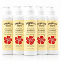 Bulk Coconut Scented Shampoo Pack - 5 Bottles, 12.8 fl oz, Hotel & Guest Use