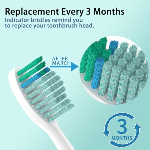 YMPBO Green Toothbrush Replacement Heads for TAO Clean UV Sanitizing Sonic Toothbrush - 10 Pack