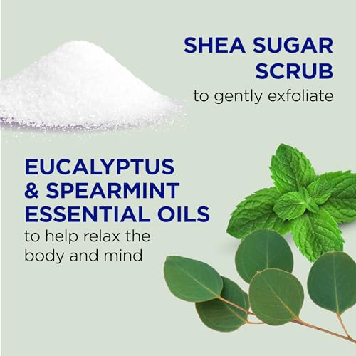 Dr Teal's Shea Sugar Body Scrub with Eucalyptus & Spearmint Essential Oils - 19 oz Pack of 3