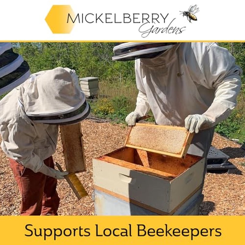 Mickelberry Gardens Love Your Lips All-Natural Organic Beeswax Lip Balm ? Hydrating, Healing, and Moisturizing Chapstick for Men, Women, and Kids (2 Pack, Tinted)