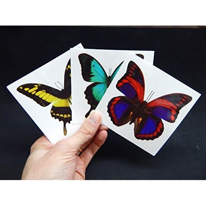 Large Butterfly Temporary Tattoos by Butterfly Utopia (12 Sheets)