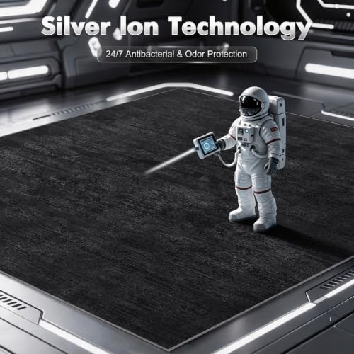 Self-Cleaning Silver Infused Area Rug 6x9 Black - Modern Minimalist Design