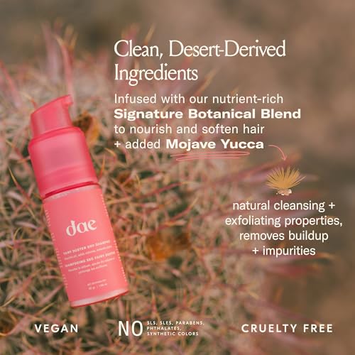 Fairy Duster Dry Shampoo Powder - Natural, Absorbs Oil & Refreshes Roots, Pack of 2