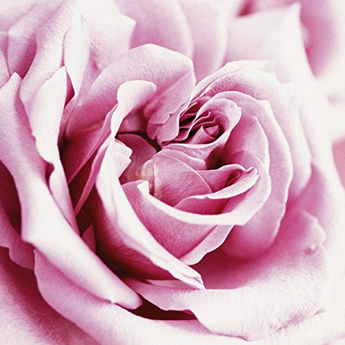 Women's Casual Eau de Parfum Spray - Light Floral Fragrance, 4 fl oz