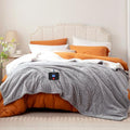Westinghouse Twin Electric Blanket Light Grey 62x84 Inch Flannel Sherpa Safe Heated