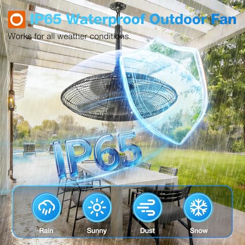Outdoor Ceiling Fan 20 Inch IP65 Waterproof with Remote & App Control - Black