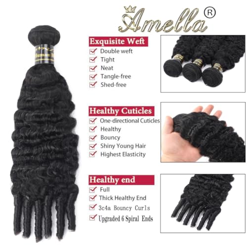 Amella Burmese Curly Human Hair Bundles 20 Inch Natural Black #1B Spiral End, 3C4A, Full Head Voluminous Style