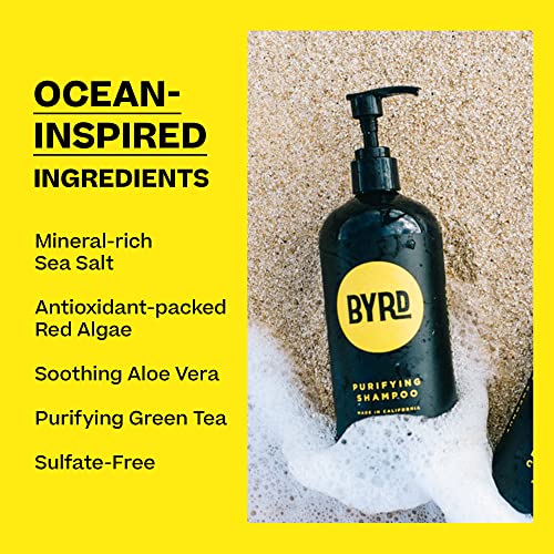 BYRD Purifying Sulfate-Free Shampoo - Gentle Daily Hair Cleanser, 16 oz - Variation of Shampoo