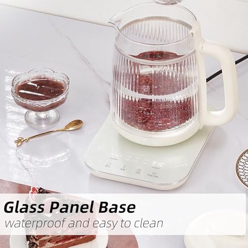 Double-Layer Glass Electric Kettle 1.5L with Stew Pot & Touch Panel - Multi-Function Tea & Soup Maker