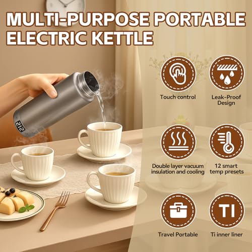 Travel Titanium Electric Kettle 380ML with 12 Temp Control Gray Gary Variation