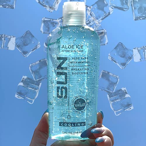 Sun Laboratories Aloe Vera Ice Gel 2 Pack ? Pure, Organic Aloe Vera Gel ? Natural After Sun Lotion ? Soothing, Clear Aloe Vera for Burn Relief