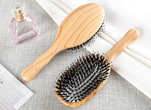 Olive Wood Wild Boar Bristle Hairbrush for Styling & Detangling, Gift Box Included