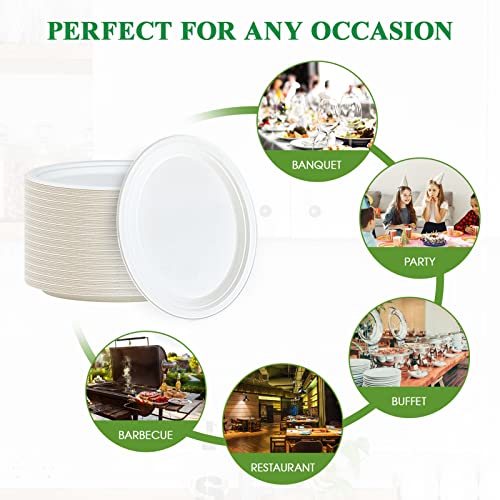 12 Inch Compostable Oval Paper Plates - White, 300 Pack - Eco-Friendly & Heavy Duty