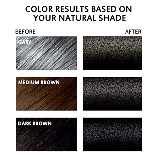 3 in 1 Semi-Permanent Black Hair Dye Shampoo - 13.5 Fl Oz Grey Coverage