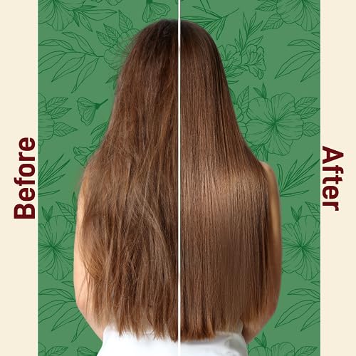 BIOBLAS Argan & Organic Olive Oil Shampoo 12oz Pack of 2 - Hydrating Repairing
