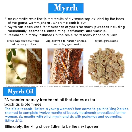 Queen Esther Myrrh Beauty Face Oil, Myrrh-Infused Skincare Essential Oils, Rosehip, Argan, Seabuckthorn, Pomegranate Seed Face Oil for Radiant Skin, 1.0 Fl Oz (Natural Nutty)