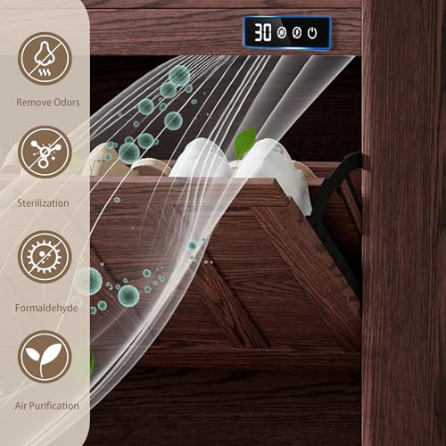 Walnut Shoe Storage Cabinet with 2 Flip Drawers and Deodorizer - Narrow Rustic Entryway Organizer