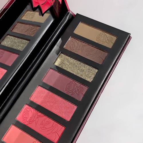 ERSHIQI Gemini Ten color eye shadow one multi-purpose matte pearlescent shimmer earth color new eye shadow