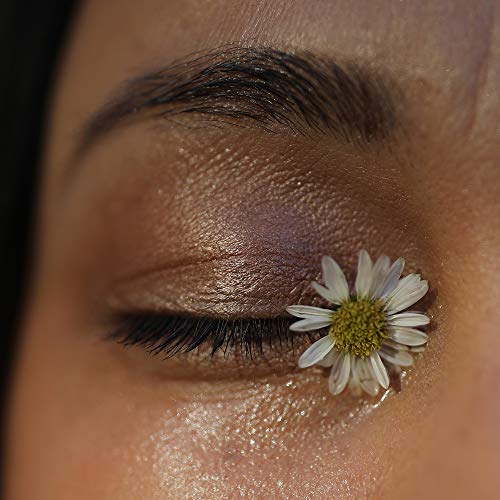 Eyebright Eye Makeup Remover & Treatment Oil - Natural, All-Sustainable Skincare