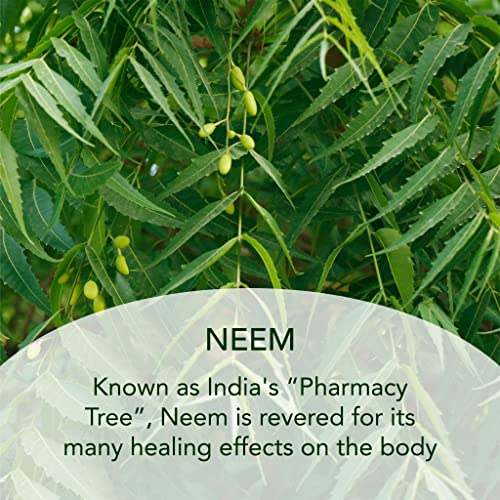 SUNDARI Neem and Avocado Balancing Moisturizer ? 1.7 Fl Oz, Hydrating Face Cream with Neem, Smoother Texture, Healthier Skin, All Natural Botanicals