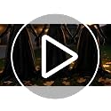 5 Ft Halloween Witches Decor Set of 3 with Lighted Faces, Outdoor Stakes & Timer