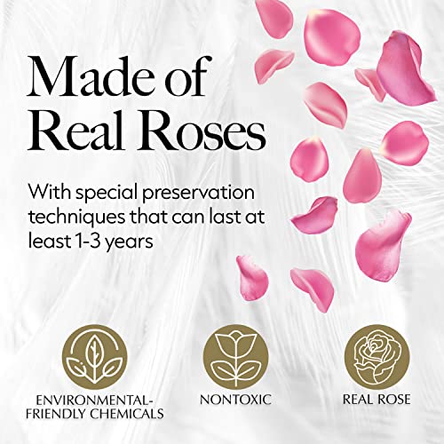 Forever Pink Roses Heart Gift Box - 27 Preserved Flowers for Gift, Decor & Romance