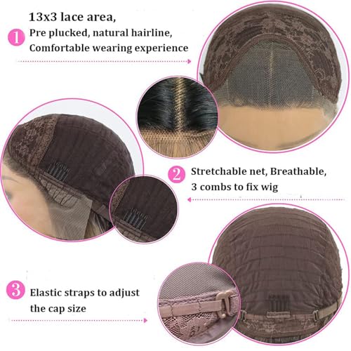 PlatinumHair Ombre Gray Lace Front Wig 24 Inch Long Straight Synthetic Heat-Resistant Fiber for Women - Pack of 1