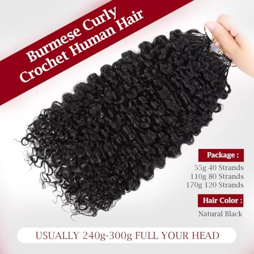LOLly Hair 1B #/14 Inch Invisible Knots Feather Crochet Hair 110g Pre-Looped for Burmese Curly & Natural Style