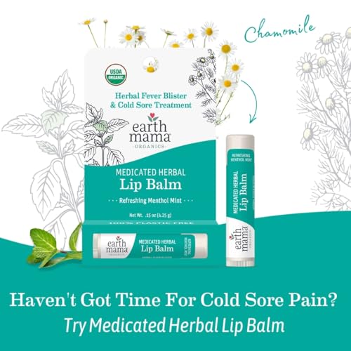 Medicated Herbal Mint Lip Balm Set - Organic, Pain & Cold Sore Relief - 4 Pack