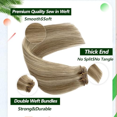 Hair Weft Sew-in Extensions Beige Blonde with Platinum Highlights 22 Inch - Variation #018P60