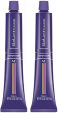 Salermvison Hair Coloring Cream Dark Blonde #6 - 2.3 Fl Oz Pack of 2