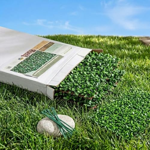Artificial Privacy Grass Wall Decor - Ficus Leaf, 20x50 Inches - Faux Outdoor Fence Covering, Garden Screen, Balcony Privacy Panel - Ficus Leaf Variation