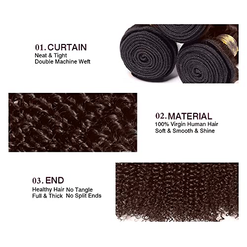 G4-DarkBrown-J Brown Human Hair Bundles Curly Wave 14-18 Inch 150g - 3 Pack