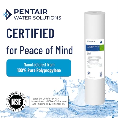 Pentair Pentek DGD-7525-20 Big Blue 20-Inch Sediment Filter Pack of 2, 25 Micron