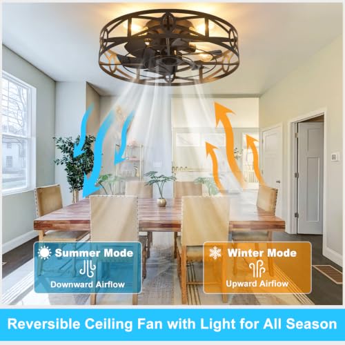 Depuley 20 Inch Black Flush Mount Ceiling Fan with Remote Control and Lights - Reversible 6 Speed Low Profile Indoor/Outdoor Fixture