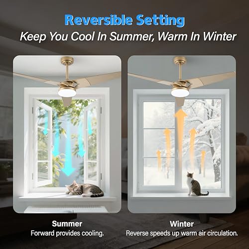52 Inch Gold Ceiling Fan with Lights and Remote - Reversible Low Profile Fan