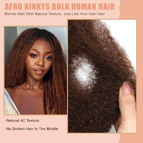 Afro Kinkys Human Hair for Twist Dreadlock Extensions - #4 / 16 Inch-50 Gram