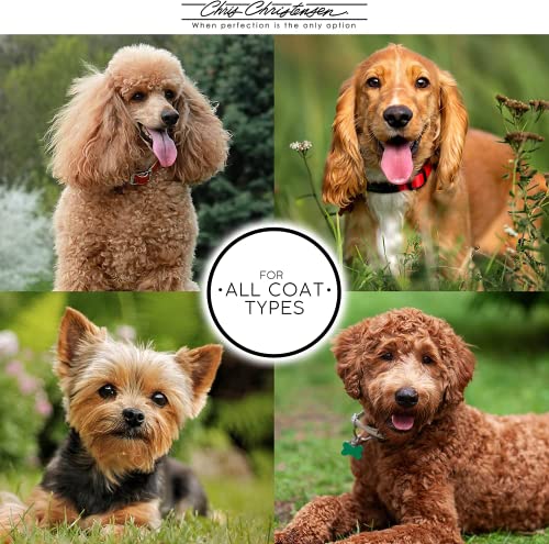 Professional Dog Coat Conditioner & Chalk Helper 16 oz Jar