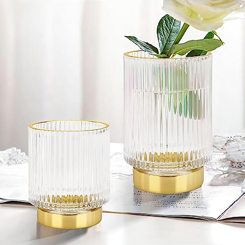 DASITON Makeup Brush Holder Organizer Glass Storage Vase S+L Clear