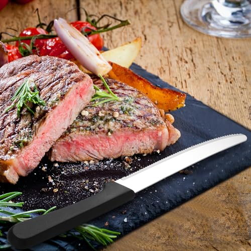 200 Pcs Stainless Steel Serrated Steak Knives with Plastic Handles for Dining & Restaurants