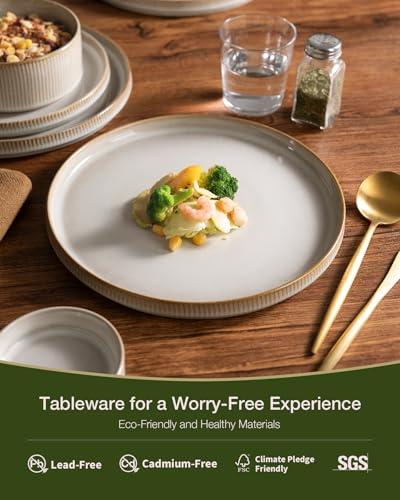 Famiware Cappuccino White Star Stoneware Dinnerware Set for 4 - Reactive Glaze Plates & Bowls