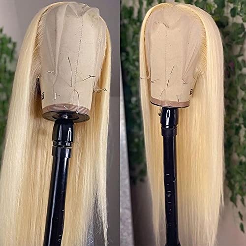 Blonde Lace Front Wig 24 Inch Long Straight Synthetic Hair for Women