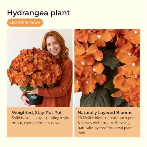 Artificial Hydrangea Flowers 22 Inch Tall with Pot for Outdoor Garden Decor - Orange, 2 Pack