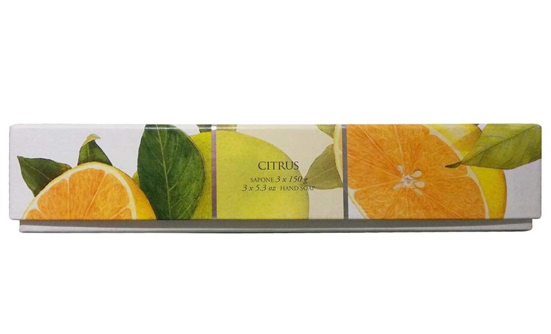La Florentina: "Agrumi di Boboli" Bar Soaps, Citrus Scent, "Bellosguardo" Collection - Pack of 3 Soaps, 5.3 Ounces (150g) Each, Gift Box [ Italian Import ]