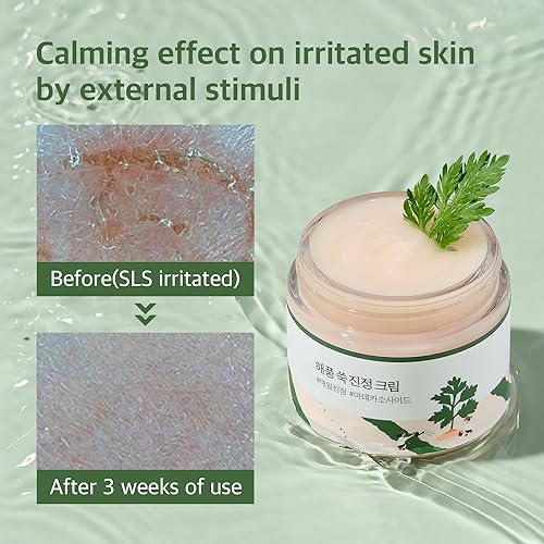 Round Lab Mugwort Calming Moisturizer 80ml - Soothing, Hydrating Cream 2.7 oz