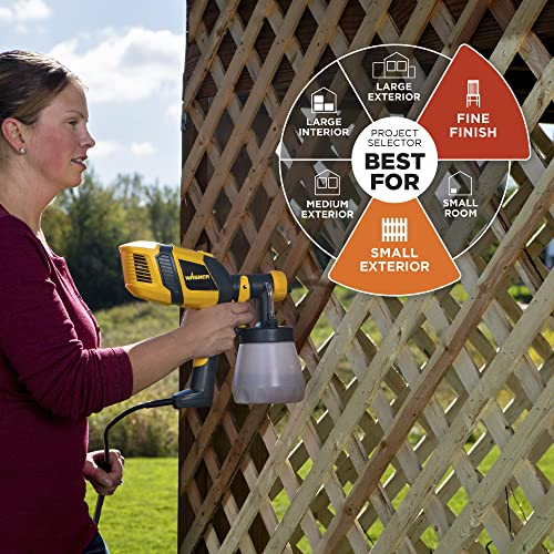 Control Spray 250 Painter Spray Gun for Stains & Finishes - Lightweight & Adjustable