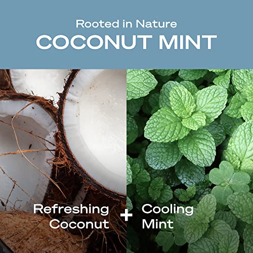 Moisturizing Body Wash with Coconut & Mint - Vegan, Sulfate-Free, Pack of 3 - 14 fl oz