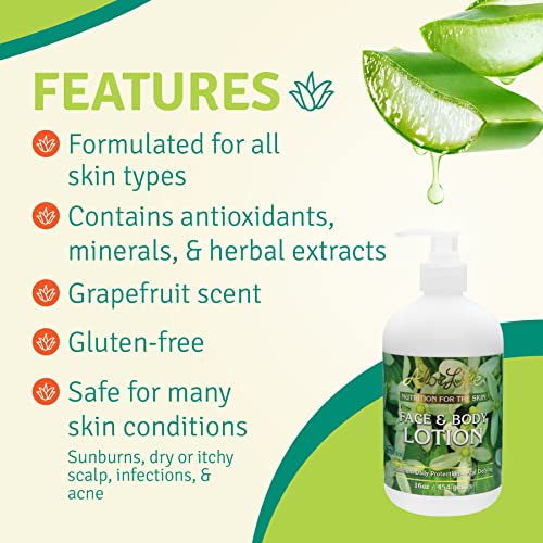 Concentrated Aloe Face & Body Lotion - 16 oz with Herbal Extracts & Grapefruit Scent - All Skin Types