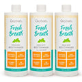 Oxyfresh Premium Fresh Mint Mouthwash 16 Fl Oz Pack of 3 - Alcohol-Free, Light Flavor, Zero Burn